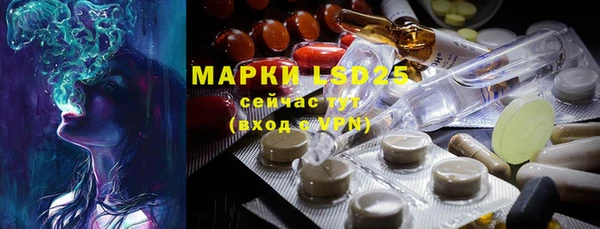 марки lsd Новозыбков