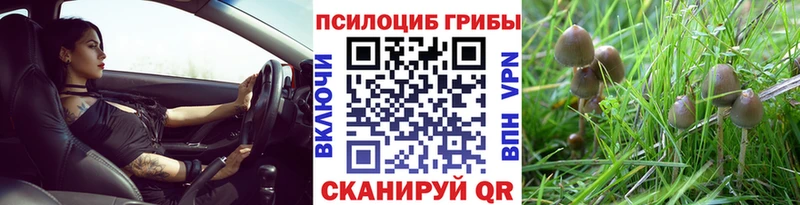 Галлюциногенные грибы мицелий  Котельниково 